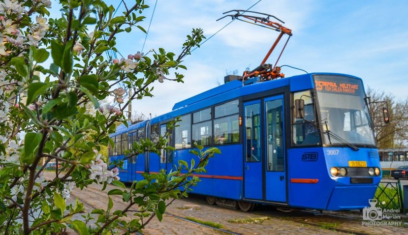 STB încearcă să igienizeze mai mult mijloacele de transport din București