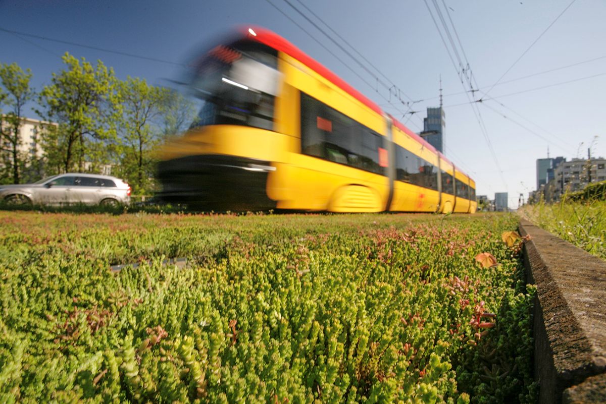 Varșovia începe proiectarea unei noi linii de tramvai