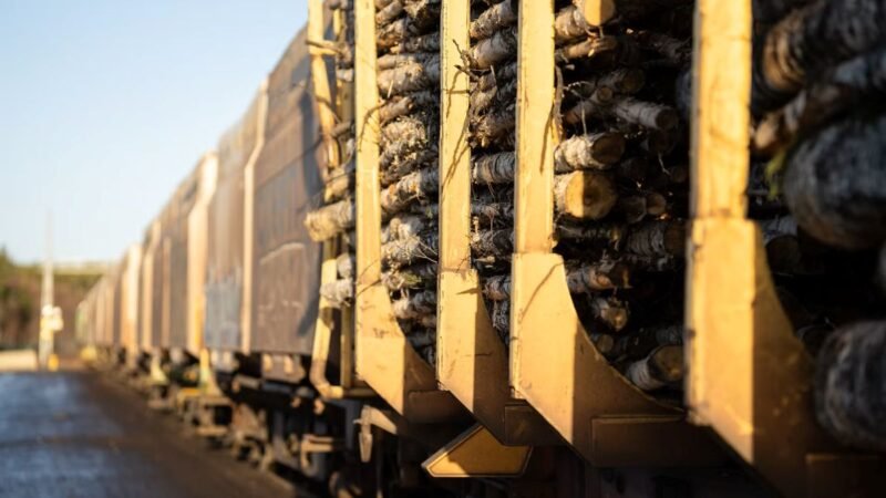 Norra Skog atinge un record de peste 500.000 metri cubi transportați pe calea ferată avertizând că taxele și perturbările pot frâna creșterea