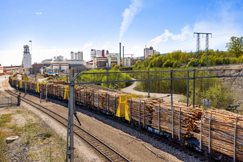 SCA atinge un record de 3,1 milioane m³ de lemn transportat pe calea ferată în 2025. A redus emisiile cu peste 51.000 tone CO₂