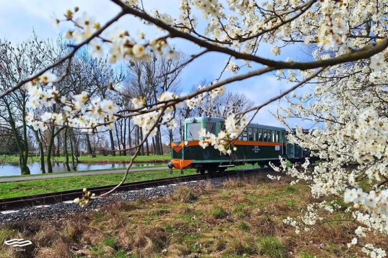 Kolejka Parkowa Maltanka își reia circulația din 12 aprilie 2026 cu primele curse de weekend și material rulant istoric