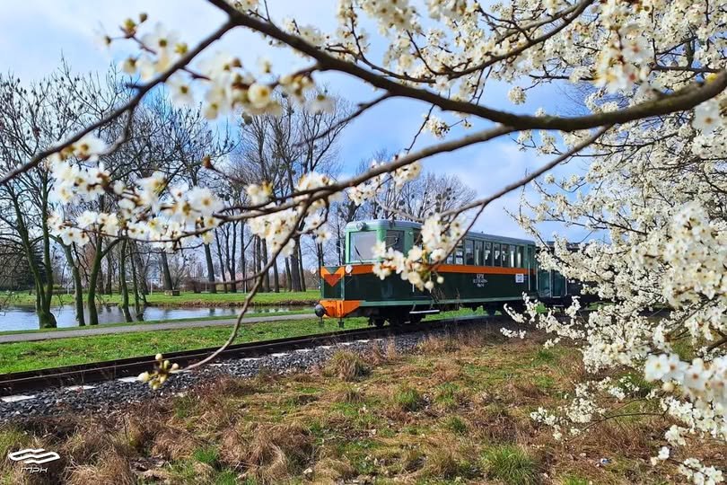 Kolejka Parkowa Maltanka își reia circulația din 12 aprilie 2026 cu primele curse de weekend și material rulant istoric