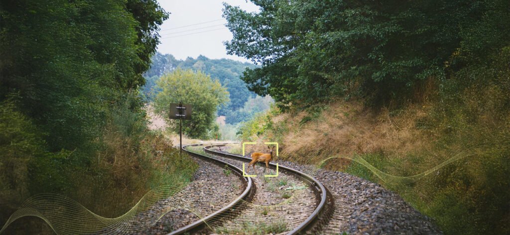 Alstom și Flox Intelligence testează în Suedia un sistem AI care detectează animalele și reduce coliziunile pe calea ferată