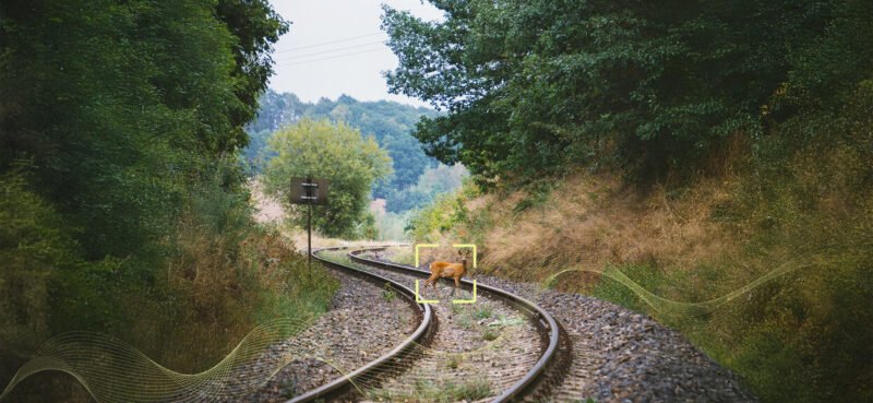 Alstom și Flox Intelligence testează în Suedia un sistem AI care detectează animalele și reduce coliziunile pe calea ferată