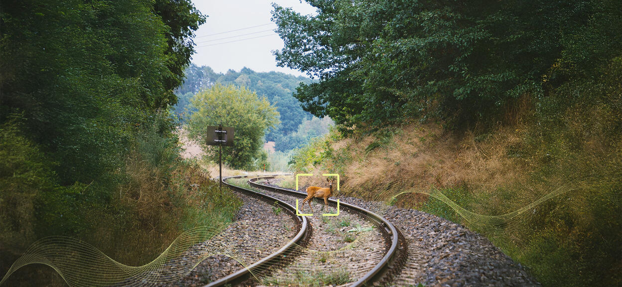 Alstom și Flox Intelligence testează în Suedia un sistem AI care detectează animalele și reduce coliziunile pe calea ferată