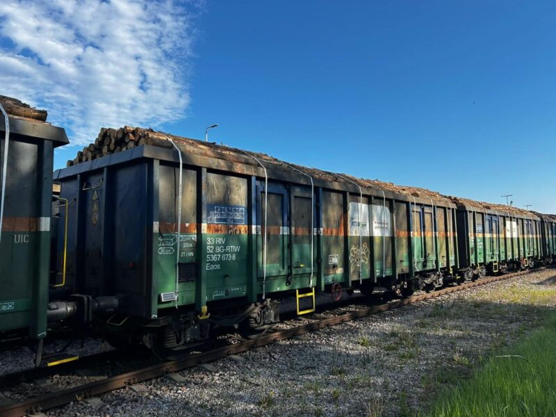 Railtrans International reia după mulți ani transportul feroviar de lemn din portul Gdańsk către România, cu prima cursă finalizată cu succes și operațiuni în curs