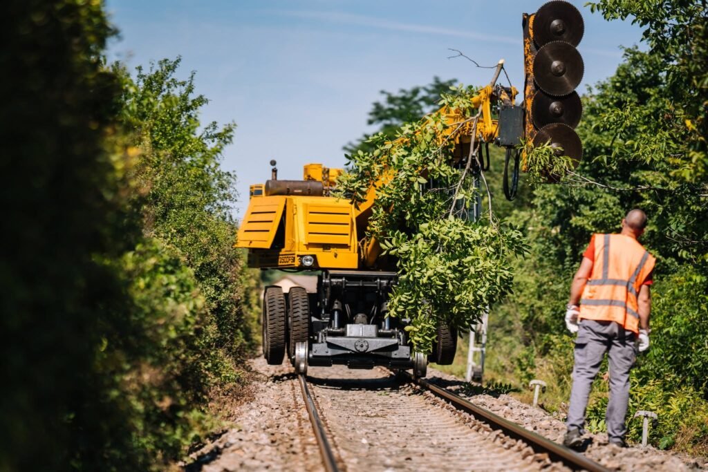CFR Infrastructură Timișoara continuă defrișările mecanizate pe linia 118 Semenic – Buziaș pentru creșterea siguranței feroviare