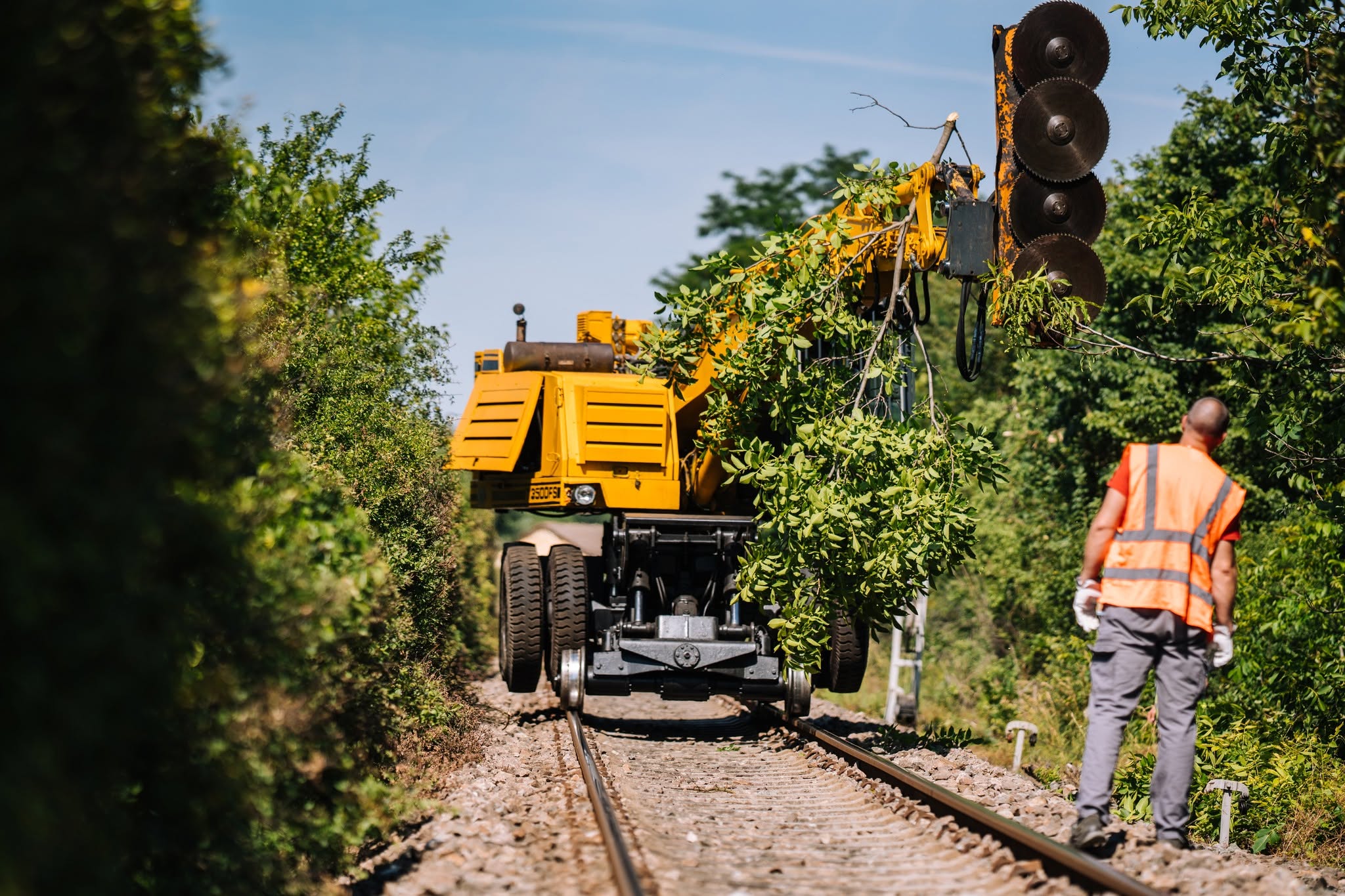 CFR Infrastructură Timișoara continuă defrișările mecanizate pe linia 118 Semenic – Buziaș pentru creșterea siguranței feroviare