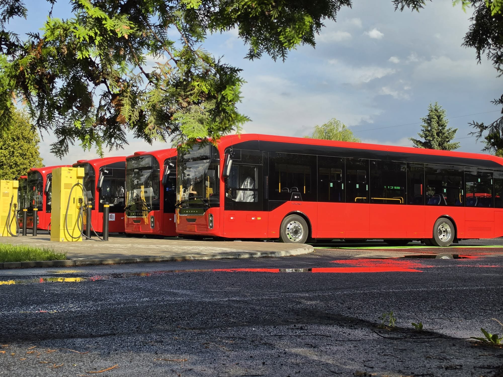 MZK Żywiec finalizează recepția celor 6 autobuze electrice Yutong U12, marcând trecerea la un transport urban complet zero emisii