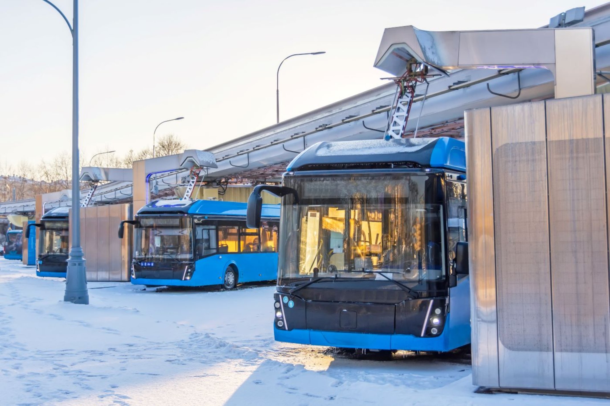 Germania finanțează achiziția a 1.500 de autobuze electrice și cu hidrogen prin noua schemă federală de sprijin pentru transportul public