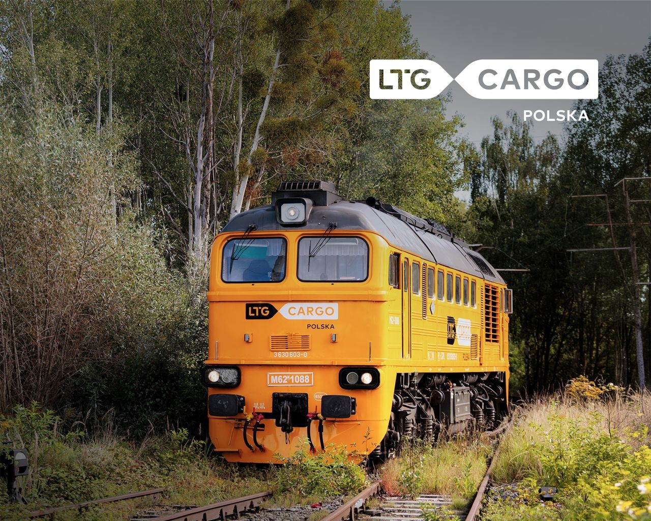LTG Cargo Polska marchează șase ani de creștere accelerată și extindere internațională