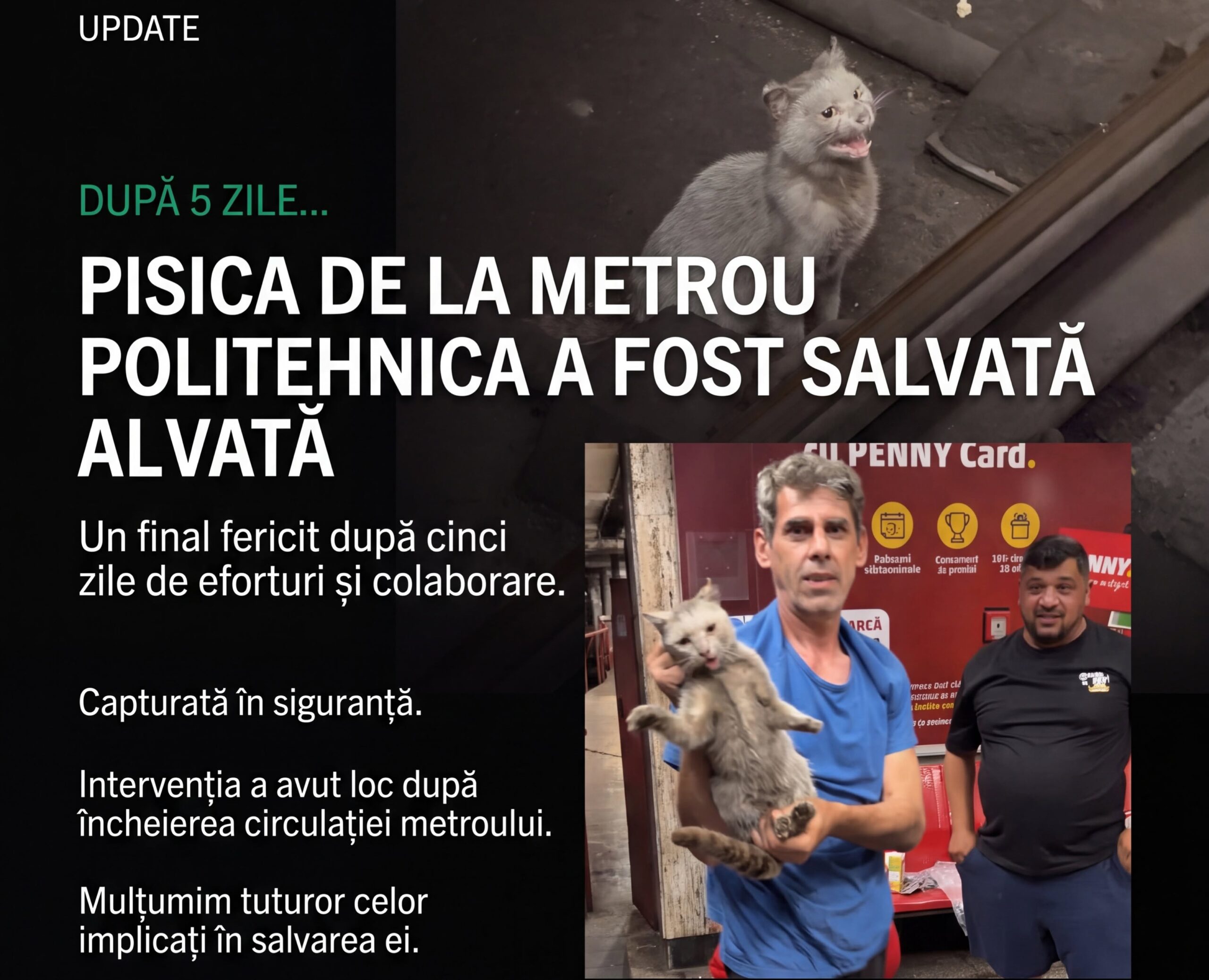 Pisica blocată timp de cinci zile în tunelul metroului Politehnica a fost salvată în urma unei intervenții complexe de echipă