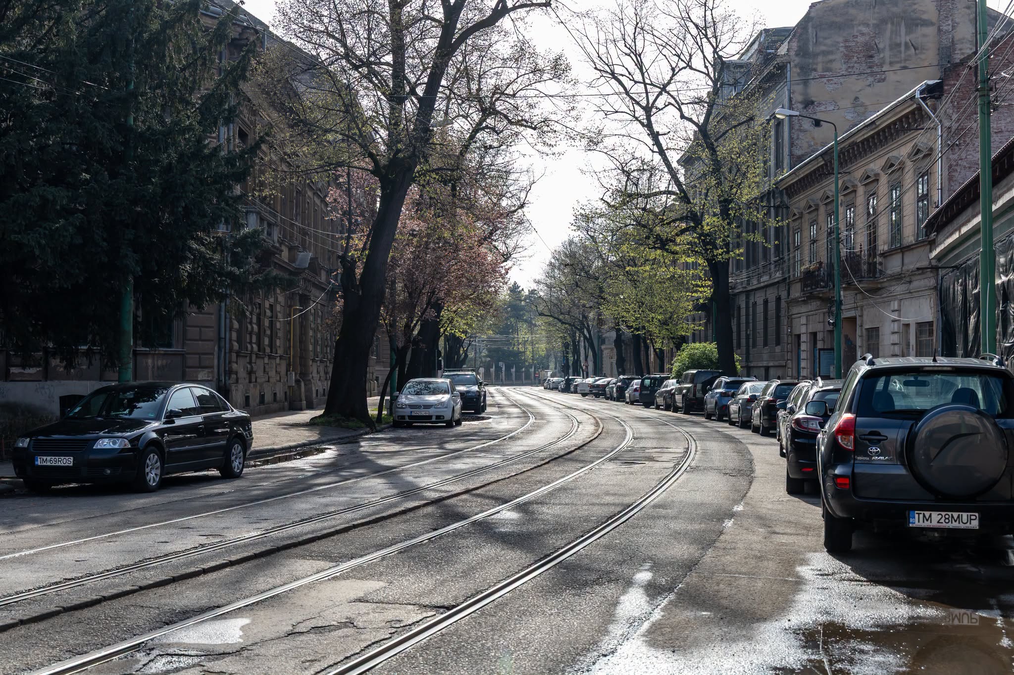 Timișoara începe modernizarea liniei de tramvai pe Bulevardul 3 August 1919 și în Piața Traian