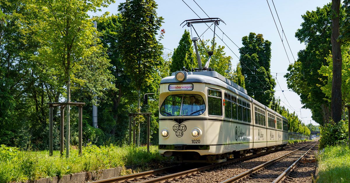 RNV anunță tururi speciale și o cursă exclusivă cu tramvaiul RHB 1020 la Rail Day 2026