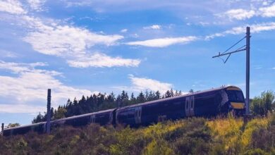 Electrificarea Borders Railway avansează: stâlpii pentru linia de contact sunt instalați, pregătind introducerea trenurilor baterie‑electrice ScotRail din anii 2030